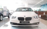 BMW 528i Mới  5  GT 2018 - Xe Mới BMW 5 528i GT 2018 giá 2 tỷ 549 tr tại Cả nước