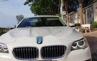 BMW 5 Series   520i 2014 - Bán BMW 5 Series 520i sản xuất năm 2014, màu trắng, nhập khẩu   giá 1 tỷ 450 tr tại BR-Vũng Tàu