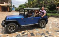 Jeep Wrangler   1980 - Cần bán lại xe Jeep Wrangler đời 1980, màu xanh lam giá cạnh tranh giá 150 triệu tại Bình Thuận  