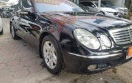 Mercedes-Benz C ũ Meredes-Benz E 240 2003 - Xe Cũ Mercedes-Benz E 240 2003 giá 275 triệu tại Cả nước