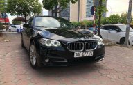 BMW 1 Cũ  5 520i 206 2016 - Xe Cũ BMW 5 520i 2016 giá 1 tỷ 666 tr tại Cả nước