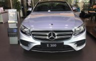 Mercedes-Benz C Mới Meredes-Benz E 300 2018 - Xe Mới Mercedes-Benz E 300 2018 giá 2 tỷ 769 tr tại Cả nước