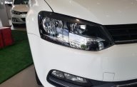 Volkswagen Polo 2017 - Bán Volkswagen Polo năm 2017, màu trắng, nhập khẩu nguyên chiếc giá 699 triệu tại BR-Vũng Tàu