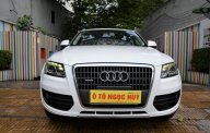 Audi Q5 2.0 T 2009 - Bán Audi Q5 2.0 T sản xuất 2009 giá 920 triệu tại Tp.HCM