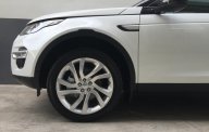 LandRover Discovery AT 2016 - Cần bán xe LandRover Discaovery AT model 2016, màu trắng, nhập khẩu giá 2 tỷ 390 tr tại Tp.HCM