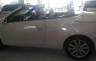 Volkswagen Eos 2007 - Bán xe Volkswagen Eos đời 2007, màu trắng, nhập khẩu giá 585 triệu tại Đồng Nai