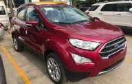 Ford EcoSport  1.0L AT Titanium 2018 - Bán Ford Ecosport Titanium tại Điện Biên giao ngay, đủ màu, giảm cực mạnh, hỗ trợ 80%, 8 năm - LH: 0942552831 giá 689 triệu tại Điện Biên