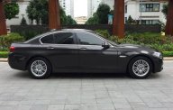 BMW 5 Series  520i 2015 - Bán xe BMW 5 Series 520i sản xuất năm 2015, màu đen  giá 1 tỷ 600 tr tại Bắc Ninh