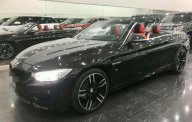 BMW 4 Series 420   2016 - Cần bán gấp BMW 4 Series 420 Cabriolet, đăng ký lần đầu 2016, màu đen nhập khẩu giá 2 tỷ 195 tr tại Tp.HCM