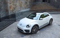 Volkswagen New Beetle 2018 - Ưu đãi mùa mưa với những phần quà hấp dẫn khi đặt mua trong tháng 9 giá 1 tỷ 469 tr tại Khánh Hòa
