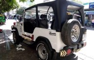 Jeep Wrangler 2002 - Cần bán gấp Jeep Wrangler năm 2002, màu trắng, nhập khẩu giá 140 triệu tại Tp.HCM