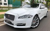 Jaguar XJ series L 3.0 Portfolio 2016 - Bán xe Jaguar XJ Series L 3.0 Portfolio sản xuất năm 2016, màu trắng  giá 4 tỷ 850 tr tại Hà Nội