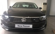 Volkswagen Passat 1.8 Bluemotion 2018 - Bán xe Volkswagen Passat 1.8 Bluemotion đời 2018, màu nâu, nhập khẩu, công nghệ an toàn giá 1 tỷ 450 tr tại Đà Nẵng