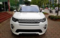 LandRover Discovery Sport HSE Luxury 2016 - Cần bán LandRover Discovery Sport HSE Luxury đời 2016, màu trắng, xe nhập giá 2 tỷ 920 tr tại Hà Nội