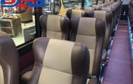 Hyundai Tracomeco 2018 - Giá xe khách 47 giường Tracomeco, máy weichai 336, đời 2018 giá 2 tỷ 850 tr tại Tp.HCM