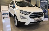 Ford EcoSport  Ambiente 1.5L MT 2018 - Cần bán Ford EcoSport 2018, màu trắng, KM sốc T1 - tặng 1 năm BHTV + Hỗ trợ lăn bánh, nhanh gọn giá 545 triệu tại Hưng Yên
