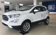 Ford EcoSport Titanium 1.5L AT 2018 - Bán Ford EcoSport Titanium 1.5 năm 2018, màu trắng tại Ninh Bình, LH 0987987588 giá 648 triệu tại Ninh Bình