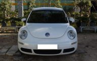 Volkswagen Beetle   1.6AT 2009 - Cần bán gấp Volkswagen Beetle 1.6AT năm 2009, màu trắng, nhập khẩu nguyên chiếc, 520tr giá 520 triệu tại Bình Định