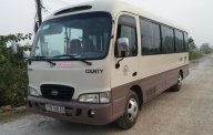 Hyundai County 2001 - Cần bán Hyundai County sản xuất năm 2001, màu kem (be), nhập khẩu giá 168 triệu tại Ninh Bình