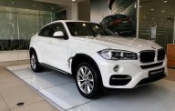 BMW X6 xDrive35i 2017 - Bán BMW X6 xDrive35i đời 2017, màu trắng, nhập khẩu giá 3 tỷ 649 tr tại Tp.HCM