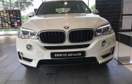 BMW X5 2018 - Bán xe BMW X5 giá tốt, giao xe ngay, hỗ trợ trả góp giá 3 tỷ 599 tr tại Tp.HCM