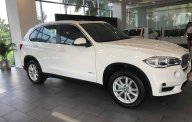 BMW X5 2018 - Bán xe BMW X5 đi tết 2019 với nhiều ưu đãi giá 3 tỷ 599 tr tại Tp.HCM