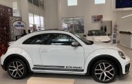 Volkswagen New Beetle 2018 - [VW Trần Hưng Đạo] giao ngay Beetle 2.0 đủ màu, nhập khẩu nguyên chiếc, hỗ trợ vay 80% với lãi suất thấp giá 1 tỷ 499 tr tại Tp.HCM