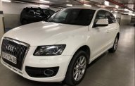 Audi Q5 2009 - Chính chủ bán xe Audi Q5 đời 2009, màu trắng, nhập khẩu giá 835 triệu tại Tp.HCM