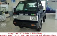 Suzuki Carry 2019 - Giải pháp vận tải tối ưu Suzuki Truck 600kg/615kg/705kg, bán xe trả góp giá 249 triệu tại Kiên Giang