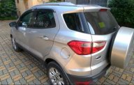 Ford EcoSport  AT 2015 - Cần bán xe Ford EcoSport AT đời 2015, màu bạc, xe gia đình sử dụng còn mới giá 505 triệu tại Hà Nội