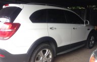 Chevrolet Captiva LTZ 2014 - Cần bán xe Chevrolet Captiva LTZ 2014 màu trắng, BSTP giá 577 triệu tại Tp.HCM