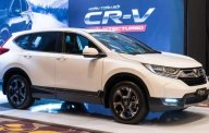 Honda CR V    2019 - Bán Honda CR V đời 2019, màu trắng, xe nhập, 450tr giá 450 triệu tại Bình Phước