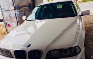 BMW 5 Series 2002 - Bán BMW 5 Series đời 2002, màu trắng, nhập khẩu nguyên chiếc, biển số đẹp giá 250tr giá 250 triệu tại Tp.HCM