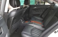 Mercedes-Benz CLS class CLS 350 2008 - Bán ô tô Mercedes CLS 350 năm sản xuất 2008, màu trắng, nhập khẩu nguyên chiếc giá 690 triệu tại Hà Nội