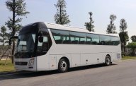 Hyundai Universe Avanced 380Ps 2018 - Bán Hyundai Universe Avanced 45 + 2 chỗ - sang trọng vượt ngoài trí tưởng tượng giá 3 tỷ 500 tr tại Đà Nẵng