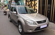 Ford Escape XLS 2010 - Gia đình cần bán Escape XLS 2010, số tự động, màu bạc giá 387 triệu tại Tp.HCM