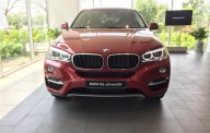 BMW X6 2018 - Bán xe BMW X6 sản xuất 2018 giá 3 tỷ 969 tr tại Tp.HCM