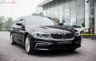 BMW 5 Series 530i 2019 - Bán BMW 530i All New G30, màu đen, nội thất đen, nhập khẩu, xe giao ngay với đầy đủ hồ sơ giá 3 tỷ 69 tr tại Nghệ An