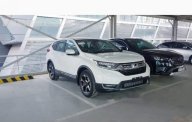 Honda CR V  1.5 E 2018 - Bán Honda CR V năm 2018, màu trắng, nhập khẩu giá 983 triệu tại Bắc Ninh