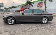 BMW 5 Series 2012 - Bán xe BMW 5 Series đời 2012, màu xám, nhập khẩu giá 960 triệu tại Hải Dương