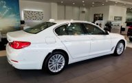 BMW 5 Series 530i Luxury Line 2018 - Bán BMW 5 Series 530i Luxury Line 2018, màu trắng, nhập khẩu, mới 100% giá 3 tỷ 69 tr tại Bình Dương