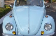 Volkswagen Beetle 1968 - Bán xe Volkswagen Beetle (con bọ cổ) đời 1500, sản xuất năm 1968 giá 250 triệu tại An Giang