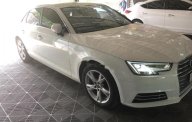 Audi A4 2016 - Bán Audi A4 đời 2016, màu trắng, xe nhập chính chủ giá 1 tỷ 420 tr tại TT - Huế