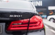 BMW 5 Series 530i 2019 - Bán BMW 530i phiên bản Luxury thế hệ 5 series mới hoàn toàn (G30) giá 3 tỷ 69 tr tại Đà Nẵng