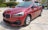 BMW 2 Series 218i Gran Tourer 2019 - Bán BMW 218i Gran Tourer 7 chỗ, nhập khẩu nguyên chiếc từ Đức giá 1 tỷ 668 tr tại Đà Nẵng