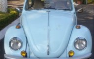 Volkswagen Beetle   1968 - Bán xe Volkswagen Beetle 1968, nhập khẩu, chính chủ, 250 triệu giá 250 triệu tại An Giang