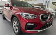 BMW X4 xDrive20i 2019 - Bán xe BMW X4 xDrive20i đời 2019, màu đỏ, nhập khẩu giá 2 tỷ 959 tr tại Đà Nẵng