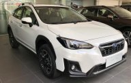 Subaru XV 2.0i-S EyeSight 2019 - Bán xe Subaru XV 2.0i-S EyeSight 2019, màu trắng, nhập khẩu giá 1 tỷ 598 tr tại Hà Nội