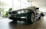 BMW 5 Series 530i Luxury 2018 - Bán BMW 5 Series 530i Luxury năm sản xuất 2018, màu đen, nhập khẩu   giá 3 tỷ 69 tr tại Đắk Lắk