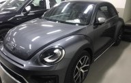 Volkswagen New Beetle 2019 - Bán Volkswagen New Beetle cao cấp đời 2019, màu xám (ghi), xe nhập giá 1 tỷ 469 tr tại Tp.HCM